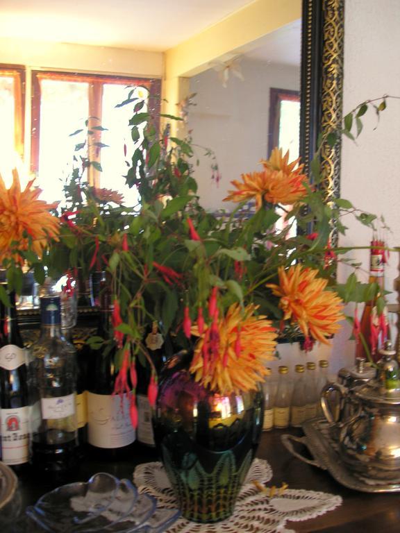 Moulin De Cornevis Bed And Breakfast Privas Esterno foto