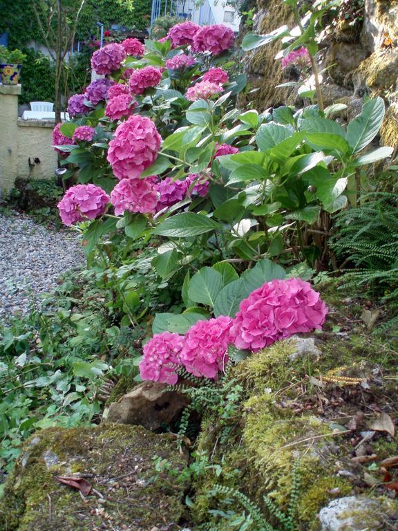 Moulin De Cornevis Bed And Breakfast Privas Esterno foto
